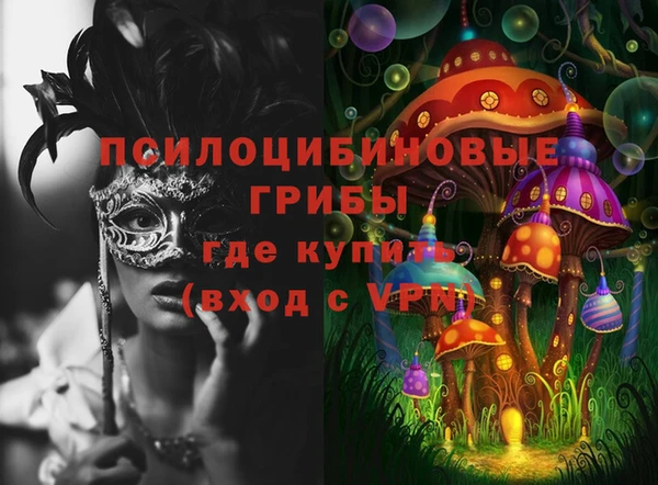 спиды Всеволожск