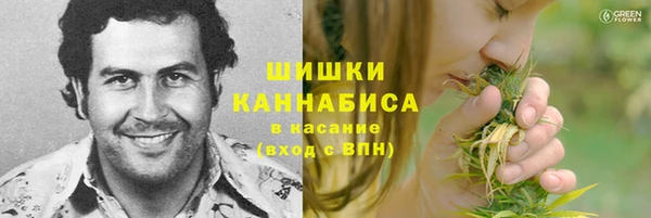МДПВ Заводоуковск