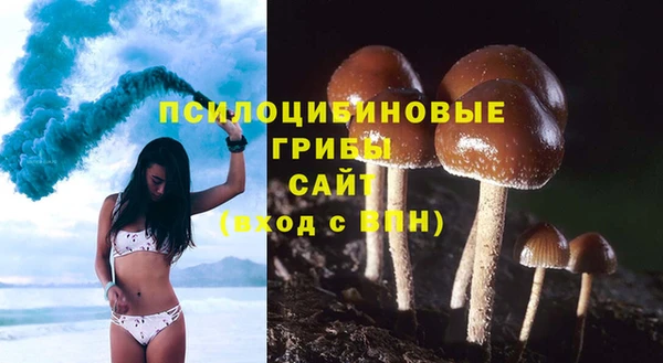 МДПВ Заводоуковск