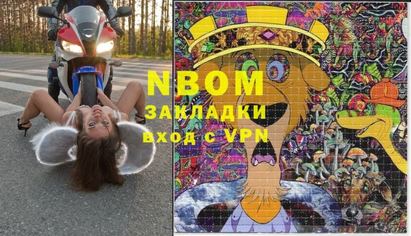 стаф Семилуки