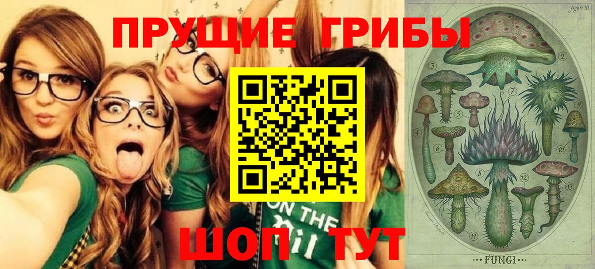 Спасск-Дальний  Псилоцибиновые грибы мухоморы  Вход с VPN  Галлюциногенные грибы ЛСД 