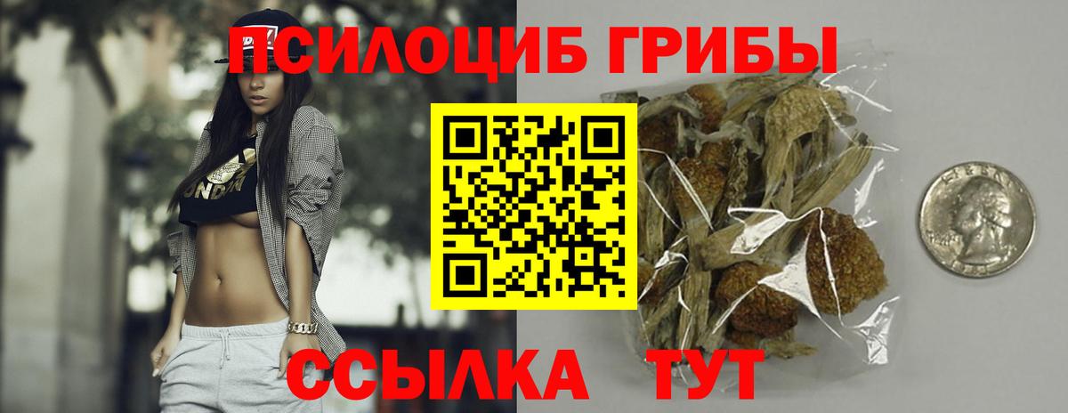 Галлюциногенные грибы Cubensis  купить наркоту  Псилоцибиновые грибы Psilocybine cubensis  Спасск-Дальний 